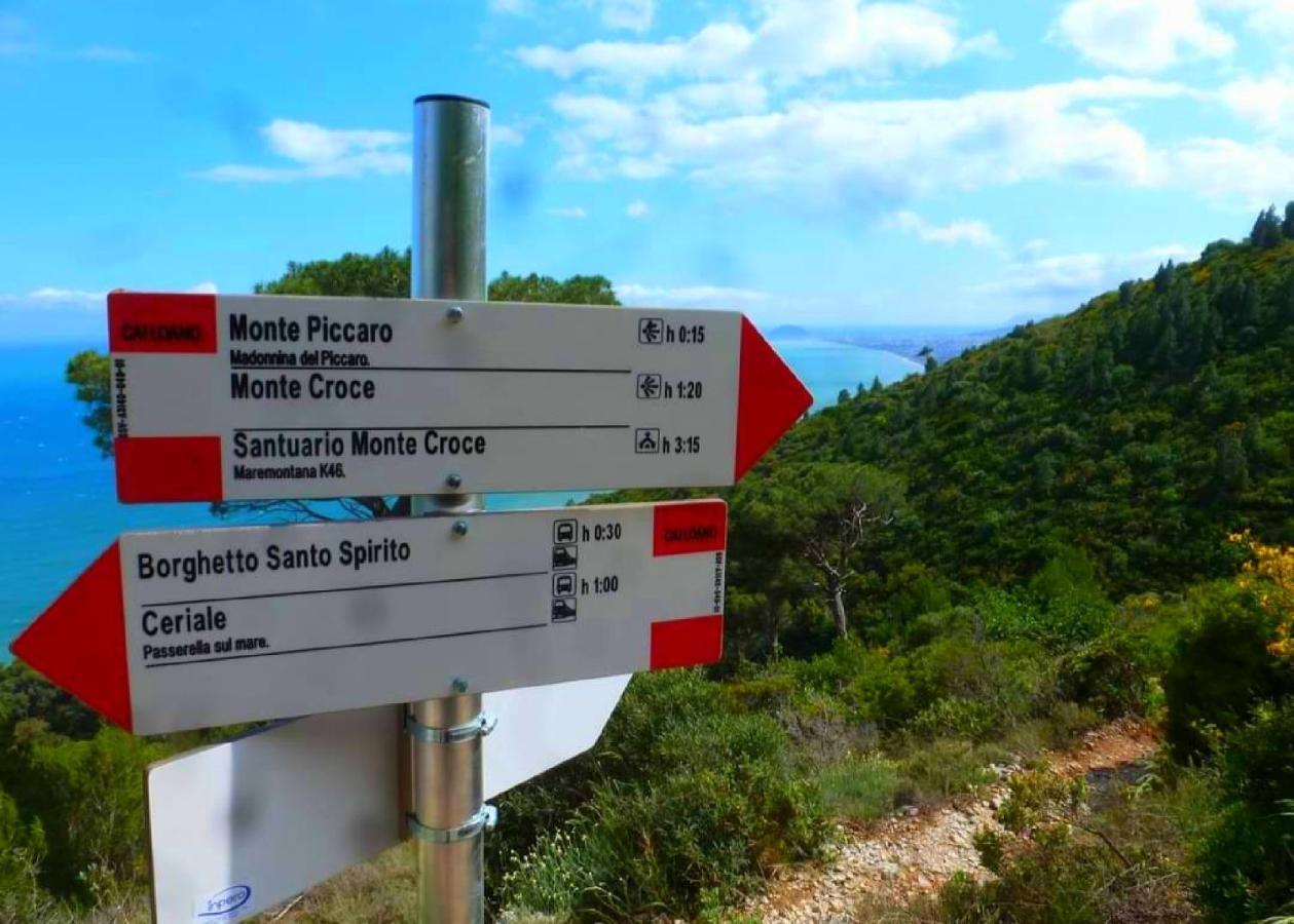 Agriturismo Monte Acuto - Natura, Mare & Relax In Piscina 托伊拉诺 外观 照片